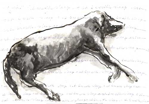 One drawing a day